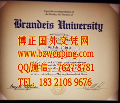 美国布兰迪斯大学原版本文凭样本Brandeis University Diploma