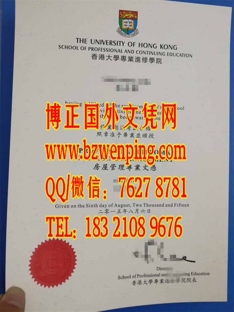 香港大学专业进修学院专业文凭