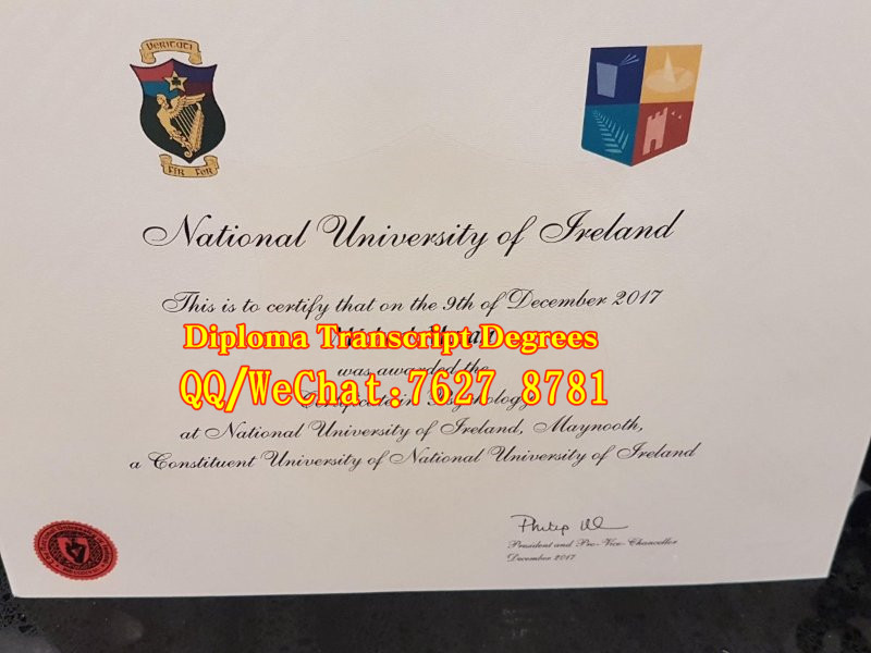 爱尔兰国立梅努斯大学毕业证National University of Ireland，Maynooth diploma
