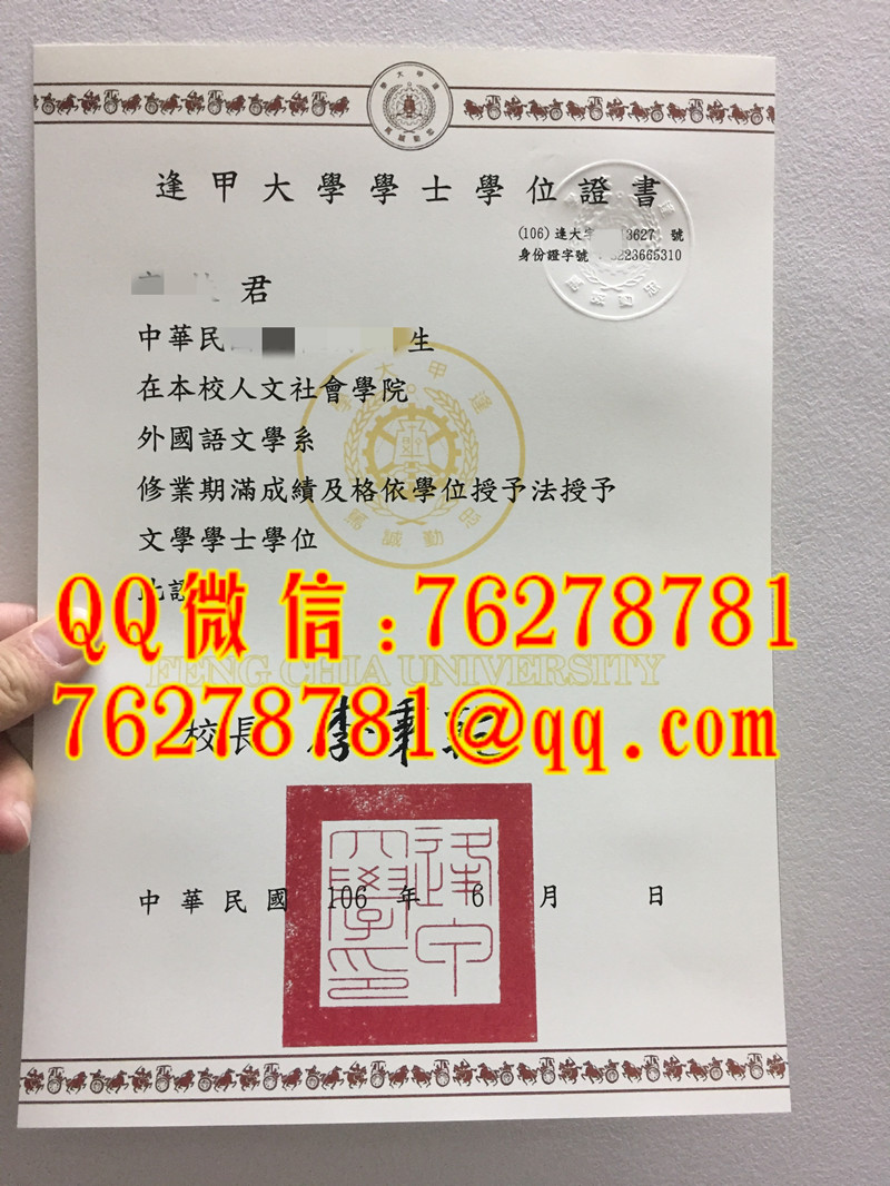 逢甲大學外國語文學系文學學士學位證